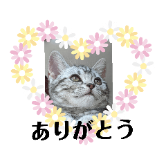 Cocoa_20190816105317