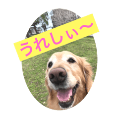 Ayumi_20190816204250