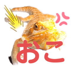 はちゅスタんぷ