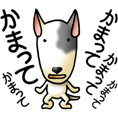 Dogs_part6 [Bull Terrier]