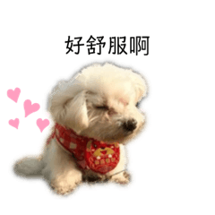 瑪尼&阿妹可愛小模樣