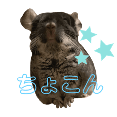 akiko_20190816213030