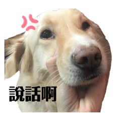 摳摳第二彈