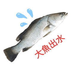 釣魚的人生