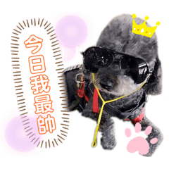 弟弟 大集合
