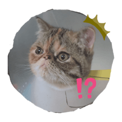 akane_20190817090332