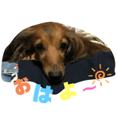moko_20190817102512