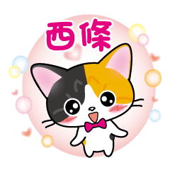 saijyo's name sticker carol cat version