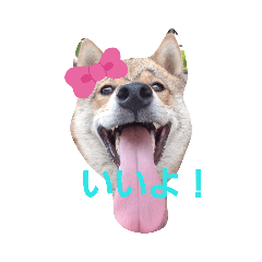 kuu_20190817113643