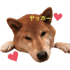 a__choco