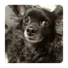 mimi_20190817123451