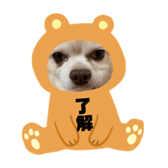 miyuki_20190817111826