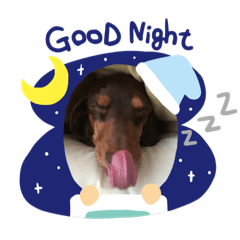 matsu_20190817120455