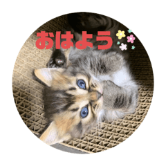 yamazaki_20190817120920