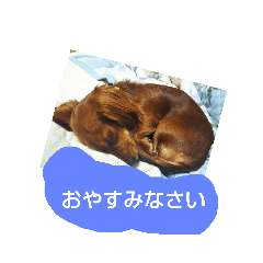 yossy_20190817143101