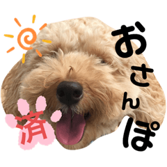 mocomoco_20190817153400