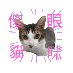我是Money