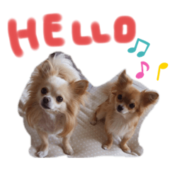 kindhearted and treasured friends