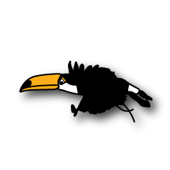 strange toucan
