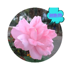 花藝篇
