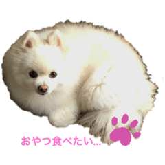 hannah_20190817224958