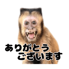 Minako_20190818004755