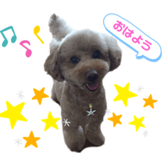 chococo.No1