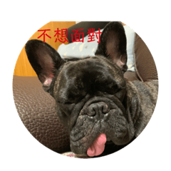 肉粽人生2-厭世人生