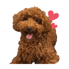 Moka_20190818071422