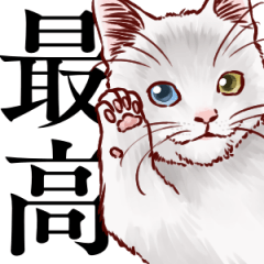 Realistic life of a realistic cat 2