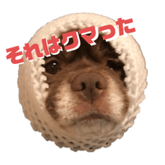 Natsumi_20190817231543