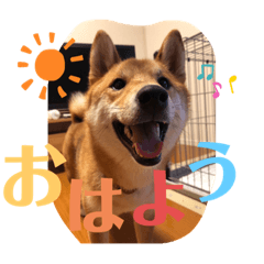 natsumi_20190818123528