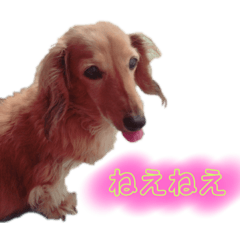 milky_20190818134436
