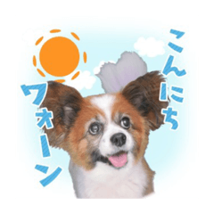 Ran_20190818152114
