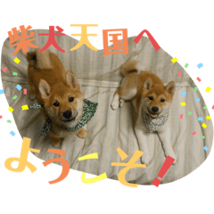 natsumi_20190818152815