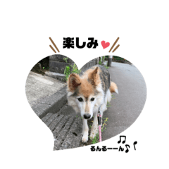 KANAKO_20190818173013