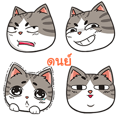 DON2 trollcat emoji