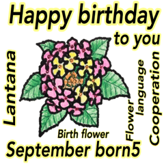September, birthday and birthday flowers