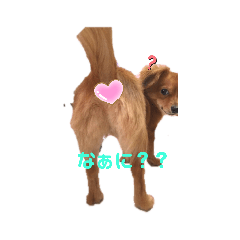 junko_20190818195137