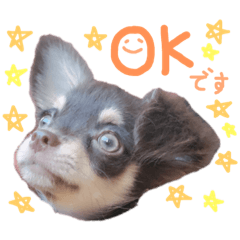 saori_20190818211127