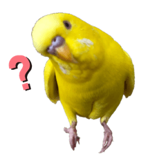 no_20190818221838