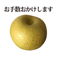 nashi pear 4