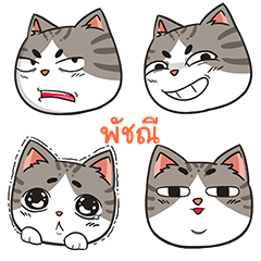 PUTCHANEE trollcat emoji