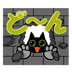 Black Cat -choro-