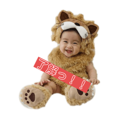 marina_20190818224559