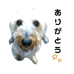 あにまるライフ