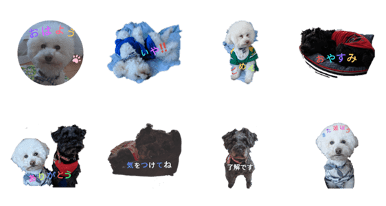 よく使う言葉犬 Lineクリエイターズスタンプ Stamplist よく使う言葉犬 Lineクリエイターズスタンプ Stamplist