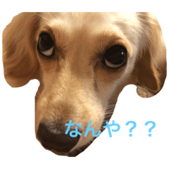 aoi_20190819094240