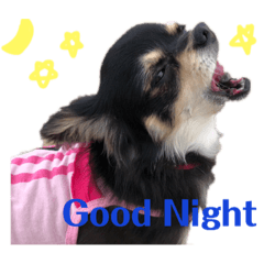 ran_20190819124250