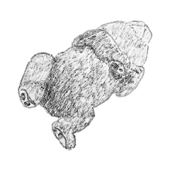 text001